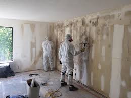 Trusted Elmwood Park, IL Mold Removal Experts